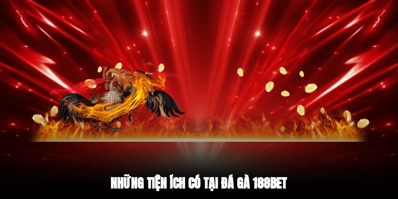 Những tiện ích có tại đá gà 188BET